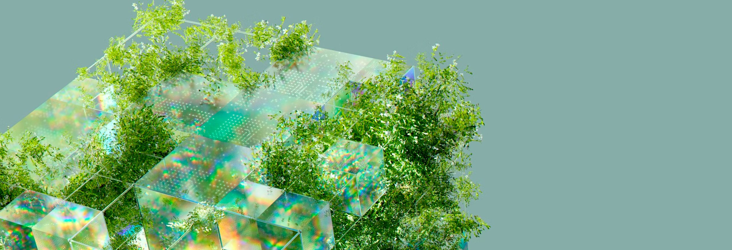 A transparent cube with greenery,