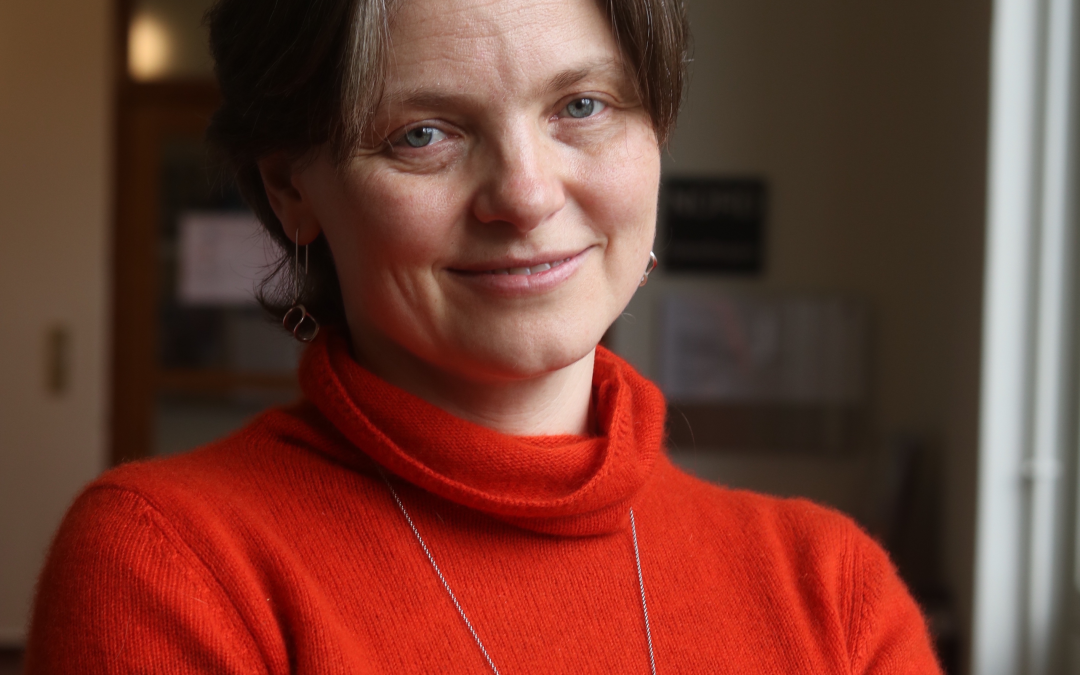 Guest Professor Irina Shklovski
