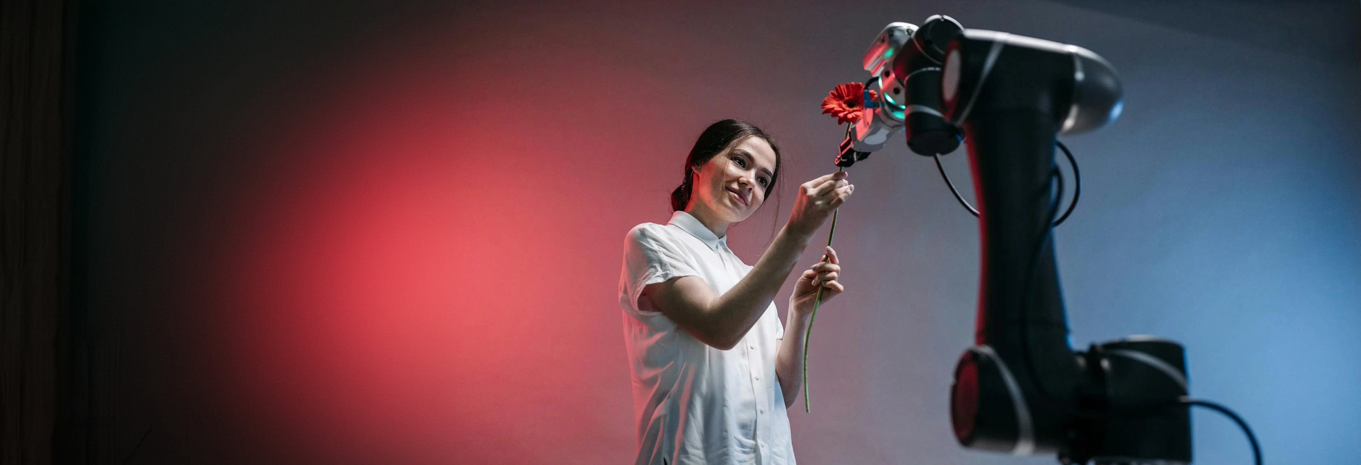 A woman in a white shirt interacting with a robot arm by receiving, or giving, a red flower. Photo by Pavel Danilyuk on Pexels.