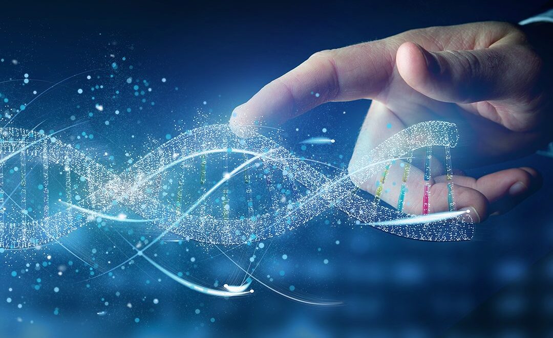 Three New DDLS-WASP-HS Research Initiation Grant Projects Approved