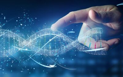 Three New DDLS-WASP-HS Research Initiation Grant Projects Approved