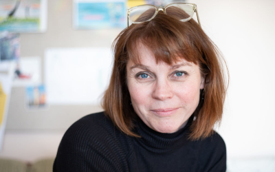 Developing New Tools to Reveal Hidden Errors in Synthetic Data